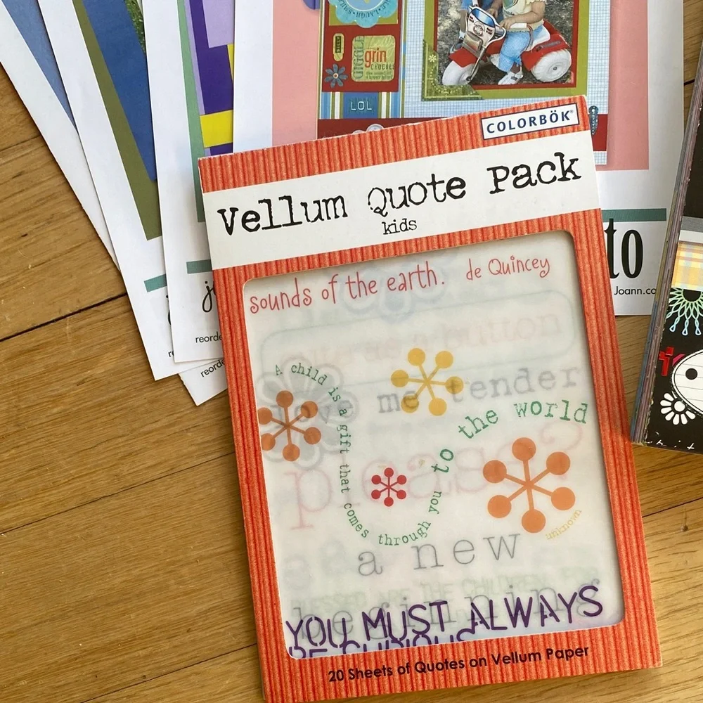 Baby Kids Scrapbook Kit Junk Journal Family Craft Bundle DCWV Sandy Lion